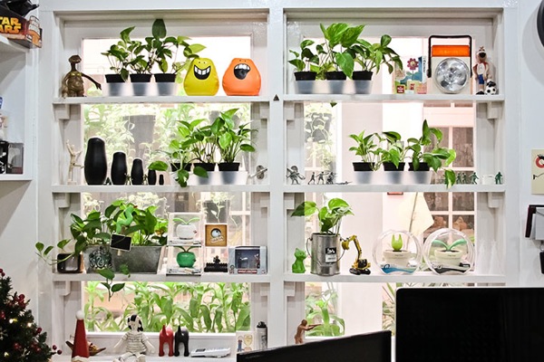 Plant Shelves